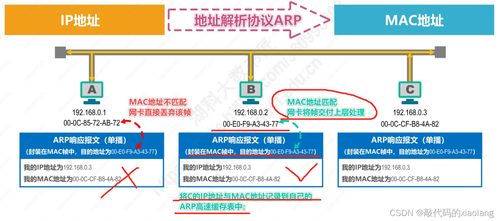 計算機網(wǎng)絡(luò)入門基礎(chǔ)篇 數(shù)據(jù)鏈路層（下）與相關(guān)技術(shù)開發(fā)服務(wù)