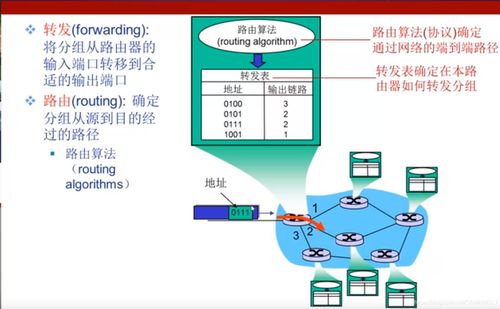 計(jì)算機(jī)網(wǎng)絡(luò)網(wǎng)絡(luò)層 技術(shù)開發(fā)與服務(wù)應(yīng)用的基石