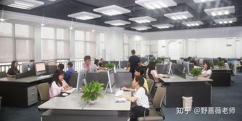 東莞東城電商淘寶運營與美工培訓 賦能企業，開啟數字商業新篇章